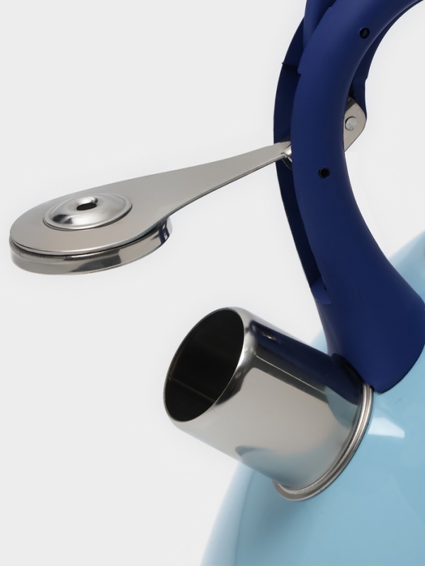 Чайник со свистком из нержавеющей стали Доляна &laquo;Свиристель&raquo;, 3 л, цвет голубой