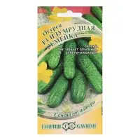 Семена Огурец "Изумрудная семейка" F1,корнишон, раннеспелый, партенокарпический, 0,3 г