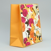 Пакет подарочный с шильдиком, упаковка, &laquo;На радость тебе&raquo;, 30.5 х 25 х 12.5 см