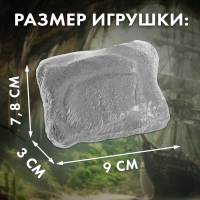Набор для раскопок &laquo;Сокровища карибского моря&raquo;