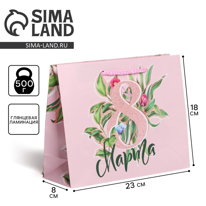 Пакет подарочный ламинированный горизонтальный, упаковка, &laquo;С праздником&raquo;, MS 18 х 23 х 8 см