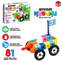 Конструктор &laquo;Умные кубики&raquo;, 81 деталь