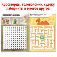 Книга &laquo;IQ головоломки&raquo;, 36 стр.