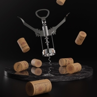 Штопор Доляна &laquo;Мастер&raquo;, 16 см, цвет серебряный