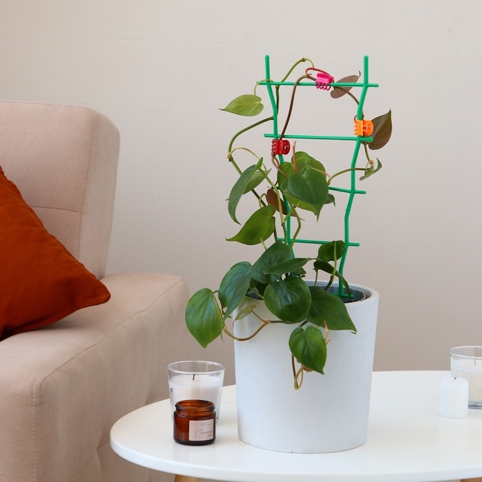 Клипса для растений, набор 10 шт., МИКС