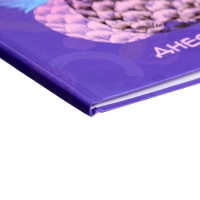 Дневник универсальный для 1-11 классов, "Фруктовое настроение", твердая обложка 7БЦ, матовая ламинация, тиснение фольгой, 40 листов