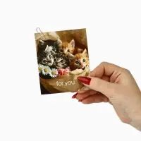 Набор мини-открыток в коробке со скрепками &laquo;Котики&raquo;, 35 штук, 8 x 10 см