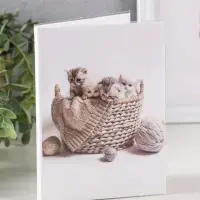 Фотоальбом 36 фото 10X15см, "Котята в корзинке" ПП карм.,мягкая обложка