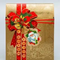 Коробка подарочная новогодняя &laquo;Золотая сумка&raquo; 21.5&times;25.6&times;11 см