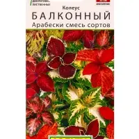 Семена цветов Колеус балконный Арабески, смесь сортов Мн Декоративно-лиственные, Ц/П,5 шт.