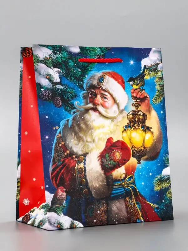 Пакет подарочный новогодний ламинированный, &laquo;Дед Мороз&raquo; , 18&times;10&times;22.3 см