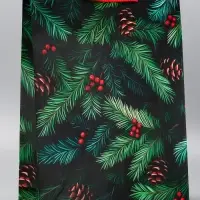 Пакет подарочный новогодний ламинированный, &laquo;Шишки&raquo; , 33&times;10&times;42.5 см