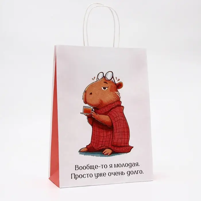 Пакет подарочный бумажный, &laquo;Молодая&raquo;, 24&times;10.5&times;32 см