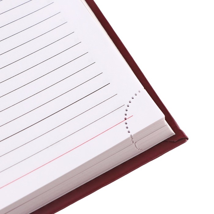 Ежедневник недатированный А5, 160 листов "Небраска", перфорация углов, бордовый