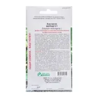 Семена Баклажан Бернар F1, 10 шт