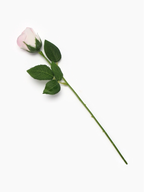 Дымная мыльная телесная роза