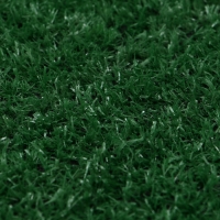 Газон искусственный, ворс 10 мм, 1 &times; 2 м, зелёный, Greengo
