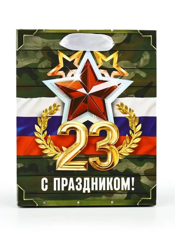 Пакет подарочный ламинированный &laquo;23 февраля&raquo;, S 12 х 15 х 5.5 см