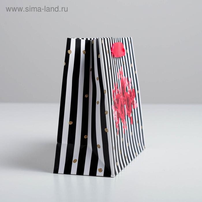 Пакет подарочный ламинированный, упаковка, &laquo;Gifts&raquo;, 22 х 17,5 х 8 см