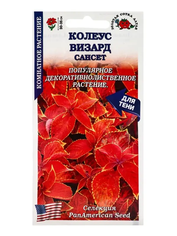 Семена Ком: Колеус Визард Сансет /Сотка/ 10шт/ h-35cм PanAm/*500