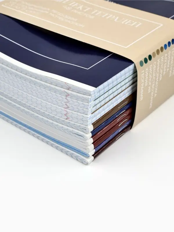 Тетради предметные, 48 л., набор из 12 шт., блок №1 &laquo;Минимализм&raquo;