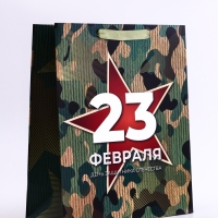 Пакет подарочный вертикальный &laquo;Защита&raquo;,  M 26 &times; 32 &times; 12 см
