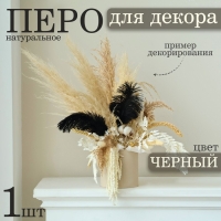 Перо для декора 1 шт., размер &mdash; 20,5 &times; 7,5 см, цвет чёрный