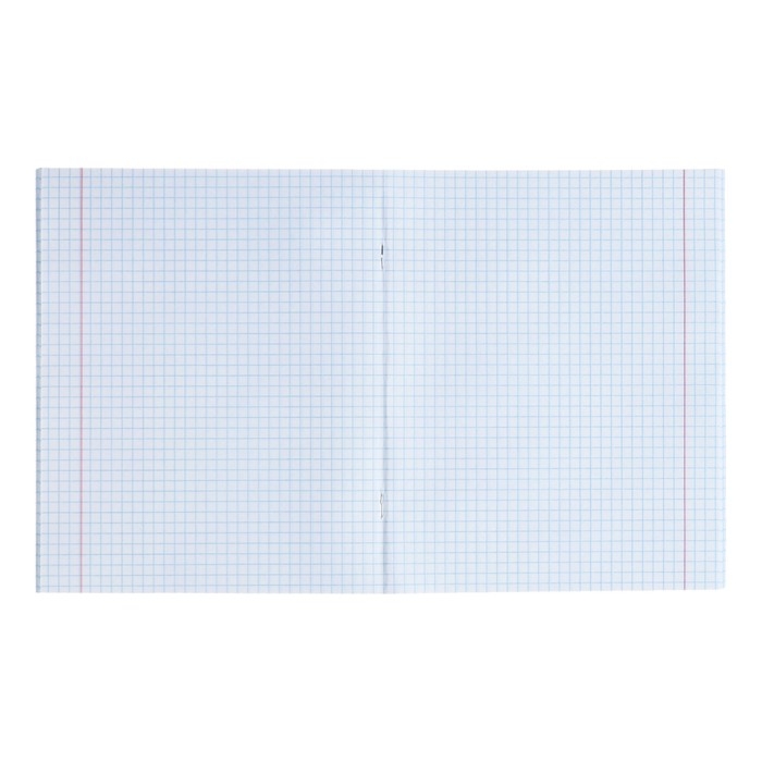 Тетрадь предметная Calligrata TOP "Школьный стиль", 48 листов в клетку Алгебра, со справочным материалом, пластиковая обложка, блок офсет