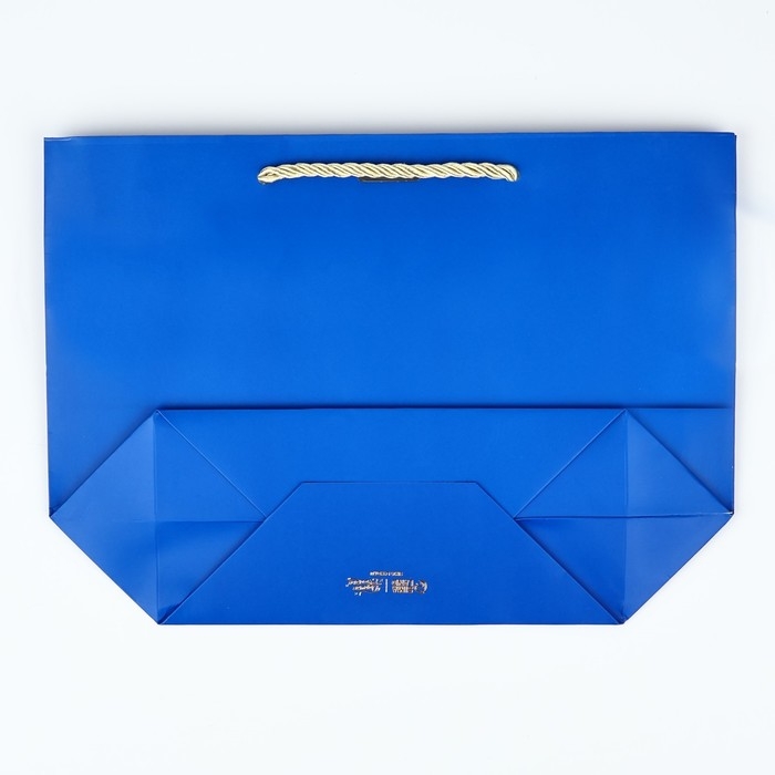 Пакет подарочный новогодний &laquo;Благополучия в Новом году&raquo;, 19 х 20 х 9 см, Новый год