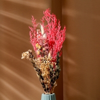 Букет из сухоцветов &laquo;Бал цветов&raquo;, 52 &times; 12 &times; 8 см