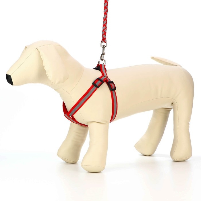 Комплект "Плетенка", флуоресцентный, поводок 115 х 1 см, ОГ 32-48 х 1,5 см, красный