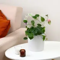 Шпалера, 29&times;27&times;0.3 см, пластик, цвет МИКС, &laquo;Сердечко&raquo;