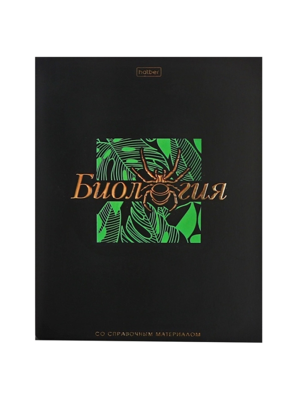 Комплект предметных тетрадей 48 листов, 12 предметов Hatber &laquo;Салют предметов&raquo;, обложка мелованный картон, матовая ламинация, 3D-лак, тиснение фоль�...