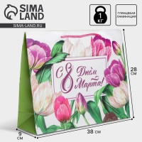 Пакет подарочный ламинированный горизонтальный, упаковка, &laquo;С днём 8 марта&raquo;, L 28 х 38 х 9 см