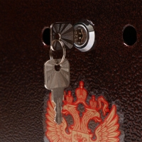 Ящик почтовый с замком, вертикальный, &laquo;Домик-Элит&raquo;, коричневый