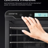 Сушилка для овощей и фруктов, Дегидратор PFD 2402H Pro