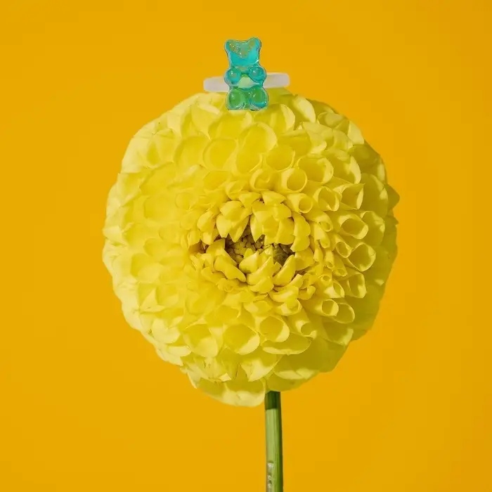 Кольцо &laquo;Мармеладный мишка&raquo;, цвет голубой, размер 17