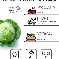 Семена Капуста белокочанная "Белорусская 455", 0,3 г