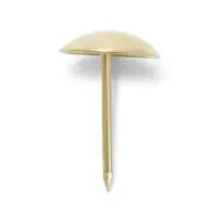 Гвозди ТУНДРА, декоративные, обивочные, 10&times;18.5 мм, золото, 100 шт.