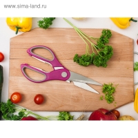 Ножницы кухонные Доляна &laquo;Генри&raquo;, 23 см, цвет МИКС