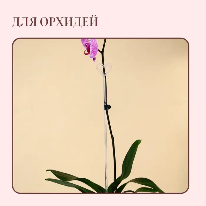 Опора для орхидей, h = 44 см, пластик, прозрачная, МИКС