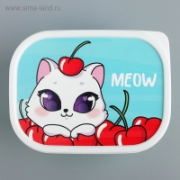 Ланч-бокс &laquo;Meow&raquo;, 500 мл