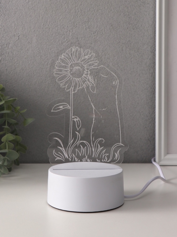 Светильник "Суслик и ромашка" LED RGB от сети RISALUX 9,5х10,1х17 см