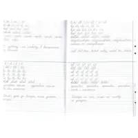 Тренажёр по чистописанию &laquo;Переход с узкой строчки на широкую&raquo;, 2-3 класс, Жиренко О. Е., Колодяжных Е. В., 2024