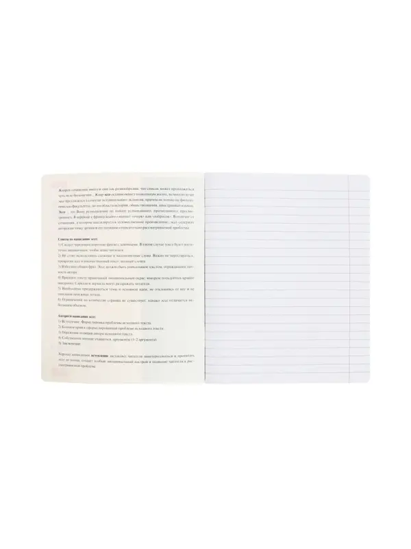 Тетрадь 48 листов в линию &laquo;Буквица&raquo; для сочинений, белые листы