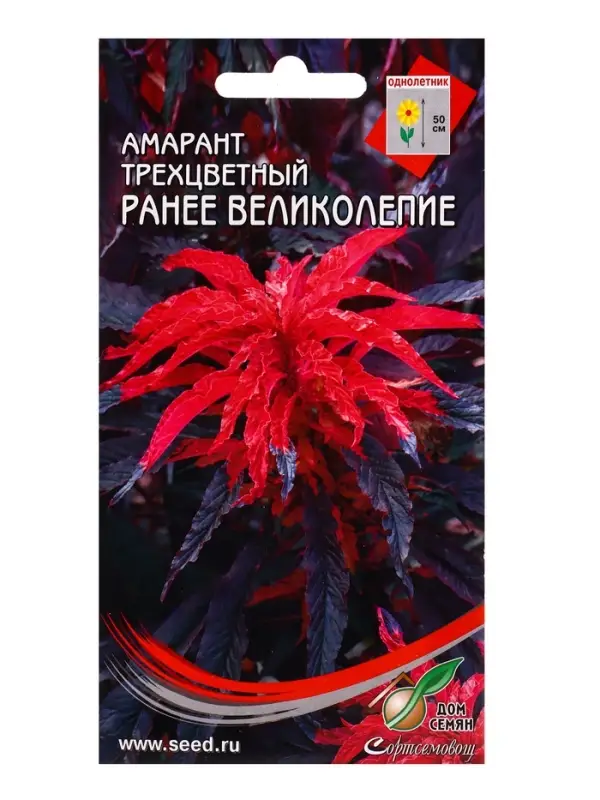 Семена цветов Амарант трёхцвет. Раннее Великолепие 100 шт