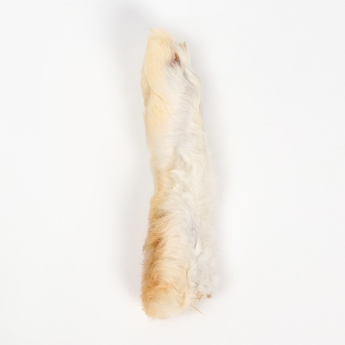 Игрушка-лакомство TitBit для кошек, кроличья лапка пушистая, 16 г Игрушка-лакомство TitBit для кошек, кроличья лапка пушистая, 16 г