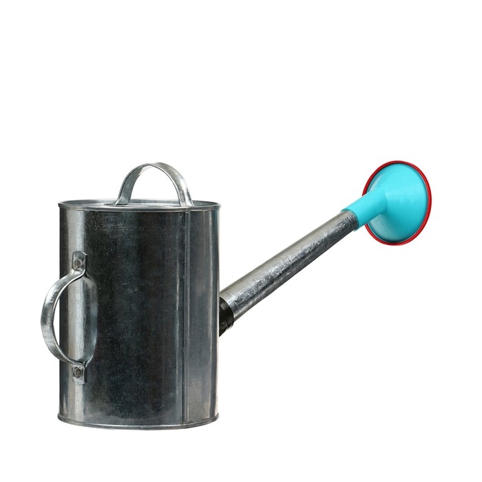 Лейка, 5 л, с рассеивателем, оцинкованная, без рисунка, носик d = 25 мм