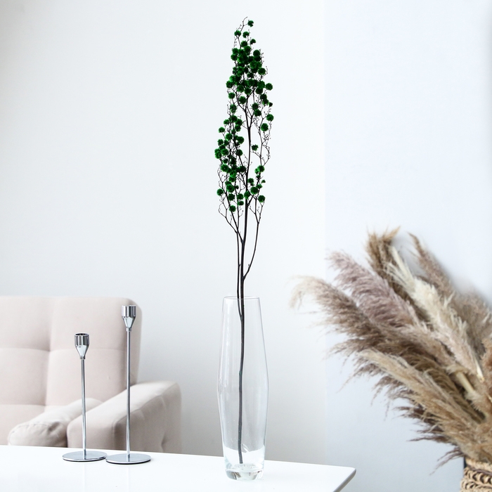 Сухие цветы &laquo;Молочай Миля&raquo;, 25 г, длина &mdash; 70 см, цвет зелёный