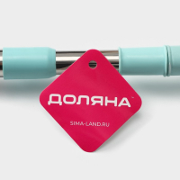 Щётка для окон Доляна, стальная телескопическая ручка 59(105) см, водосгон силикон 16 см, насадка микрофибра 12&times;16 см